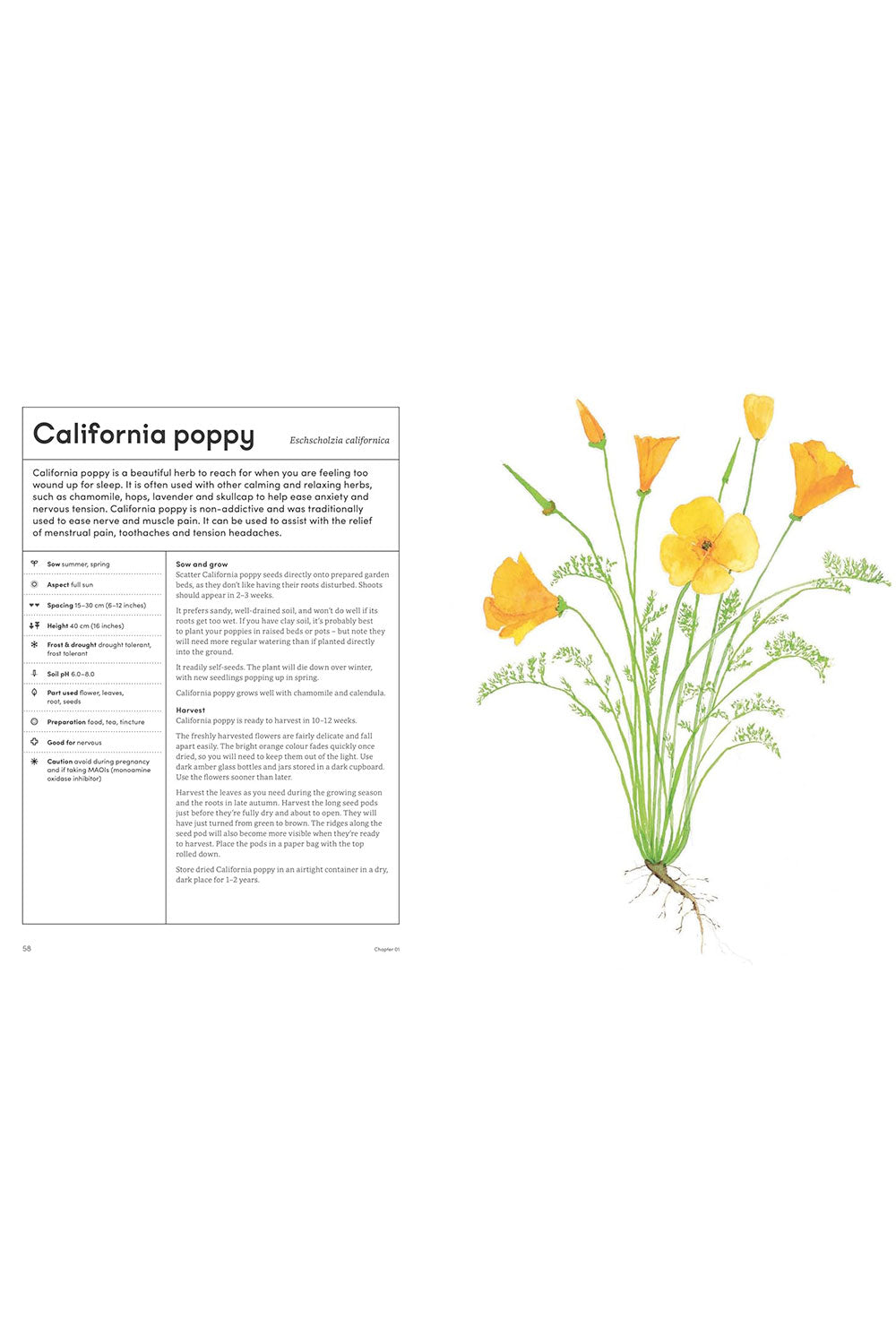 Healing Garden: Cultivate Your Garden to Treat, Feed, and Soothe