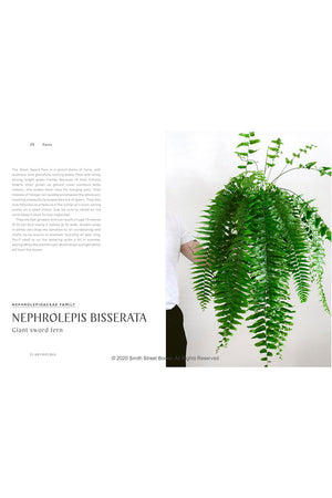 Plantopedia: The Definitive Guide to Houseplants