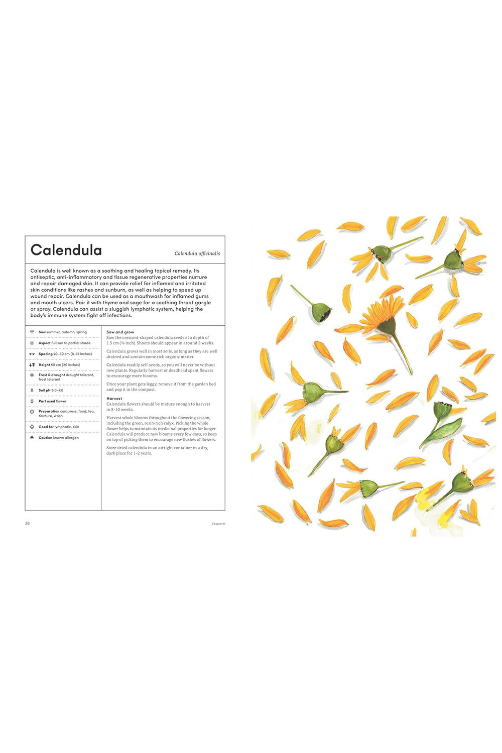 Healing Garden: Cultivate Your Garden to Treat, Feed, and Soothe