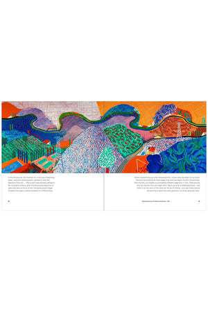 Hockney's Pictures