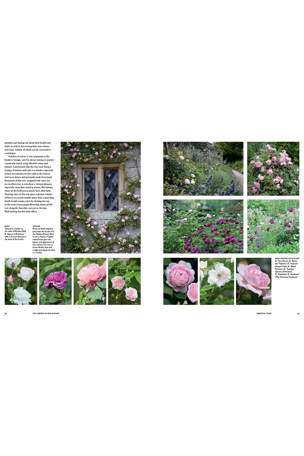 Gardens Of Arne Maynard