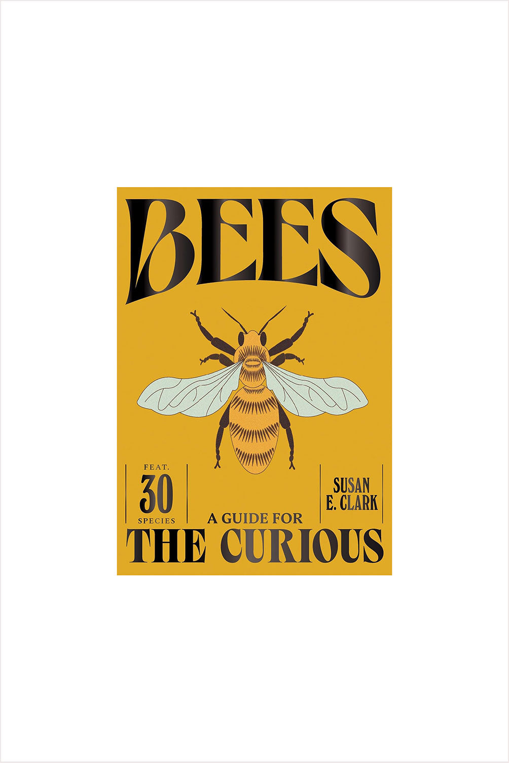 A Guide for the Curious: Bees