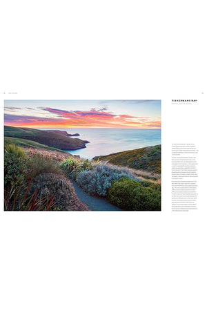 Dreamscapes: Inspiration and Beauty in Gardens Near and Far