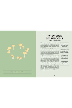 A Guide for the Curious: Mushrooms