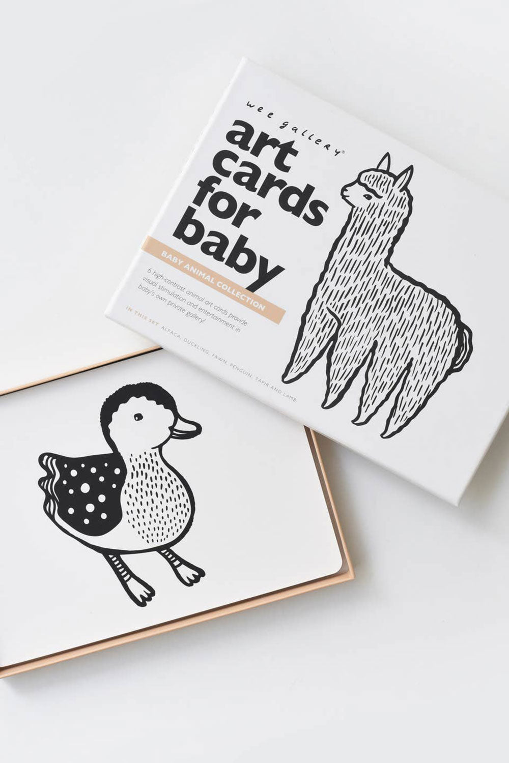 Baby Animal Art Cards