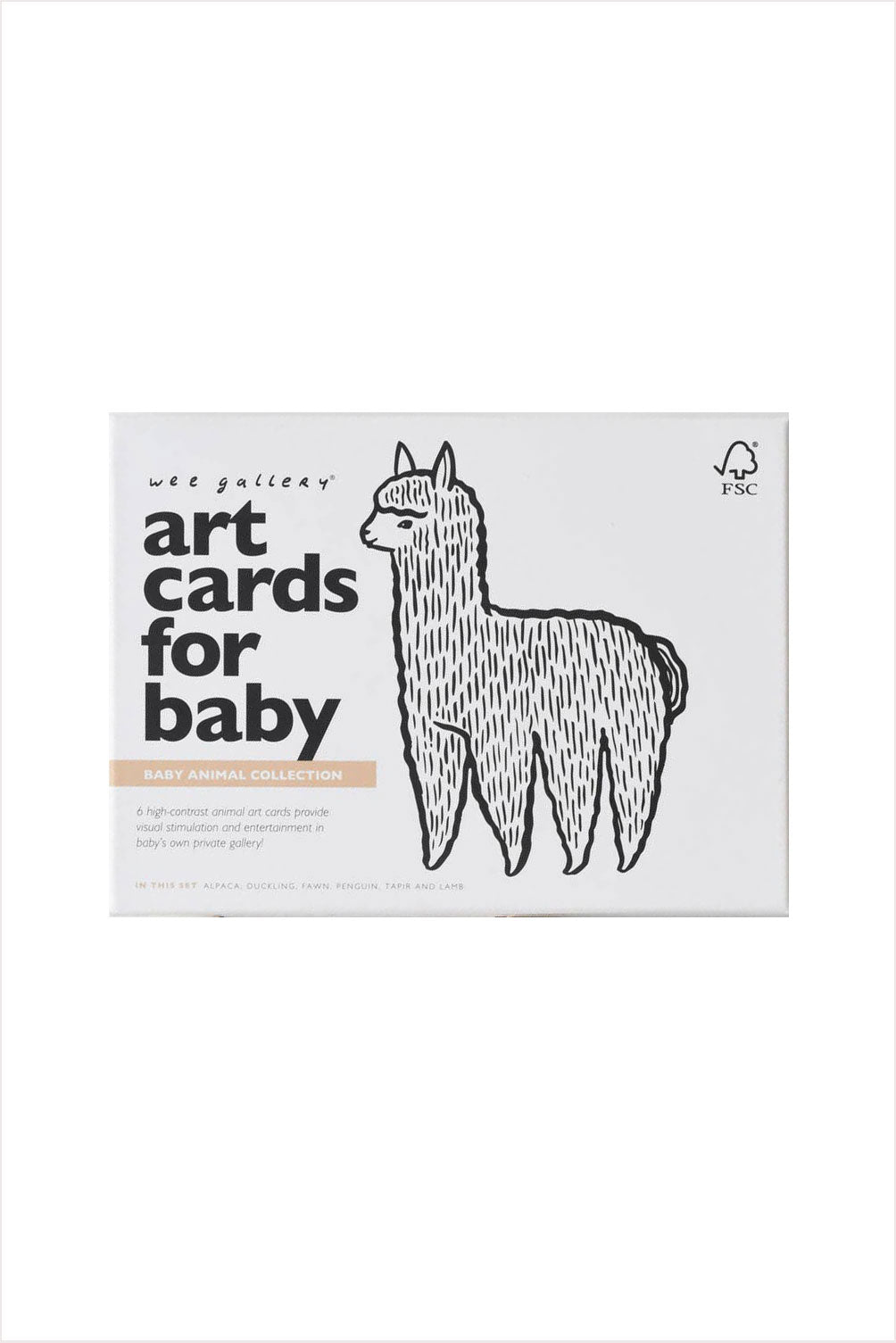 Baby Animal Art Cards