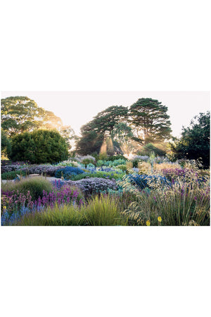 Dreamscapes: Inspiration and Beauty in Gardens Near and Far