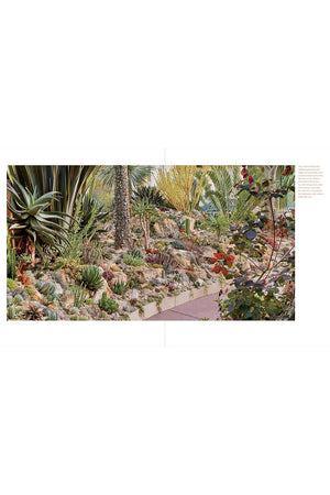 Designing the Lush Dry Garden: Create a Climate-Resilient, Low-Water Paradise