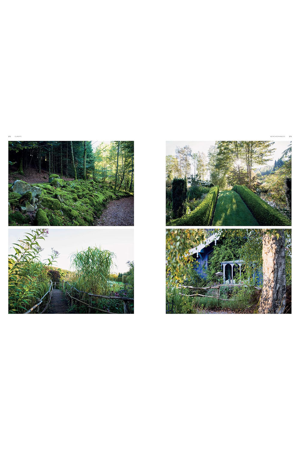Dreamscapes: Inspiration and Beauty in Gardens Near and Far