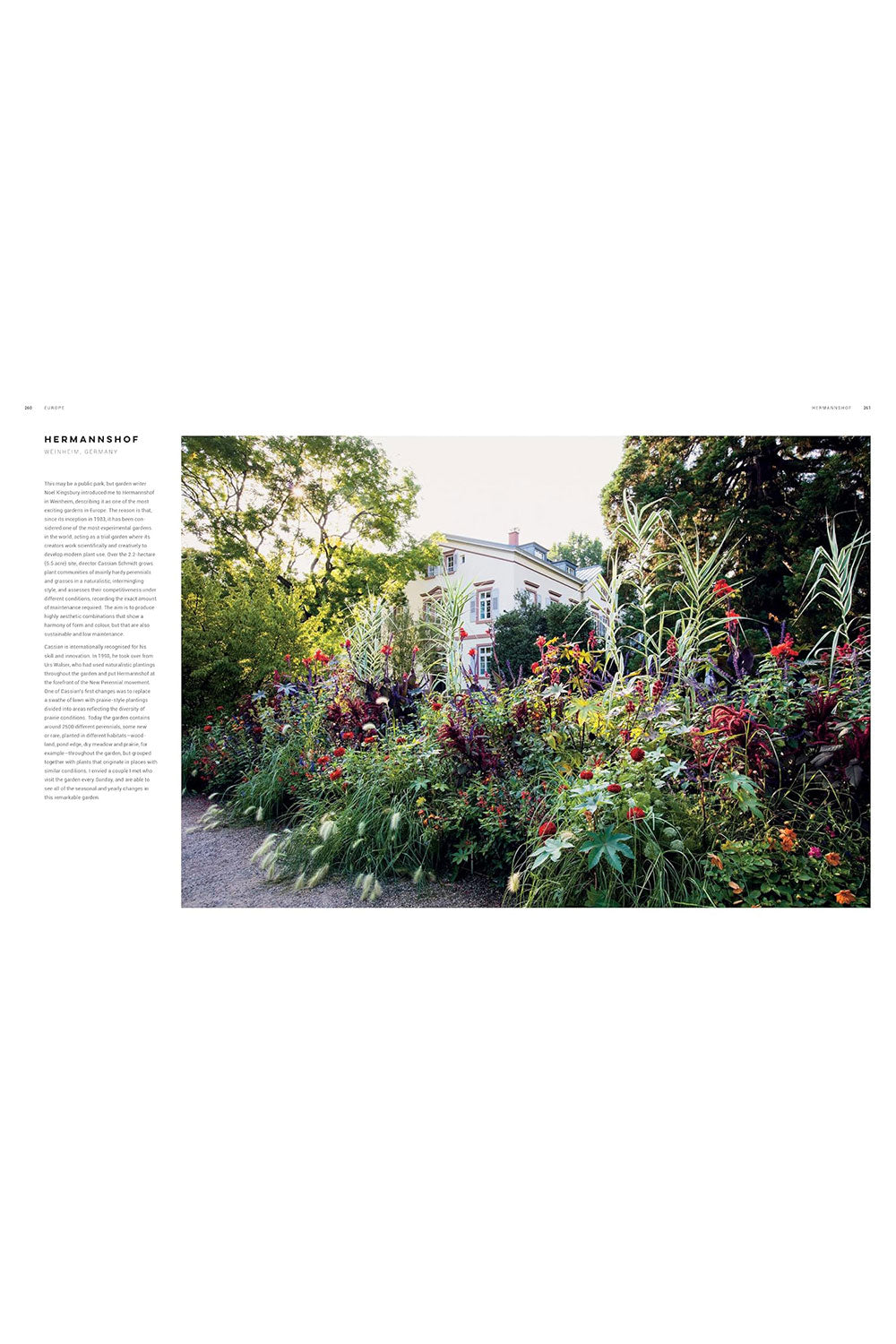 Dreamscapes: Inspiration and Beauty in Gardens Near and Far