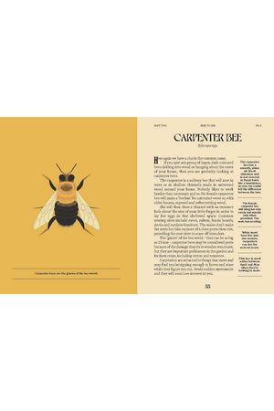 A Guide for the Curious: Bees