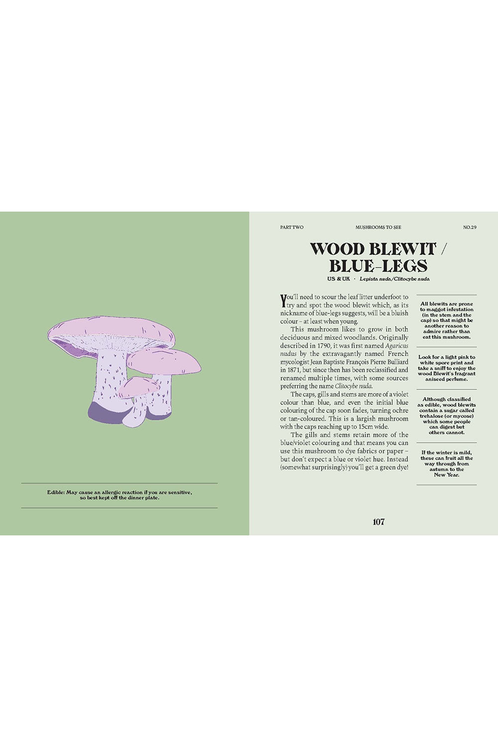 A Guide for the Curious: Mushrooms