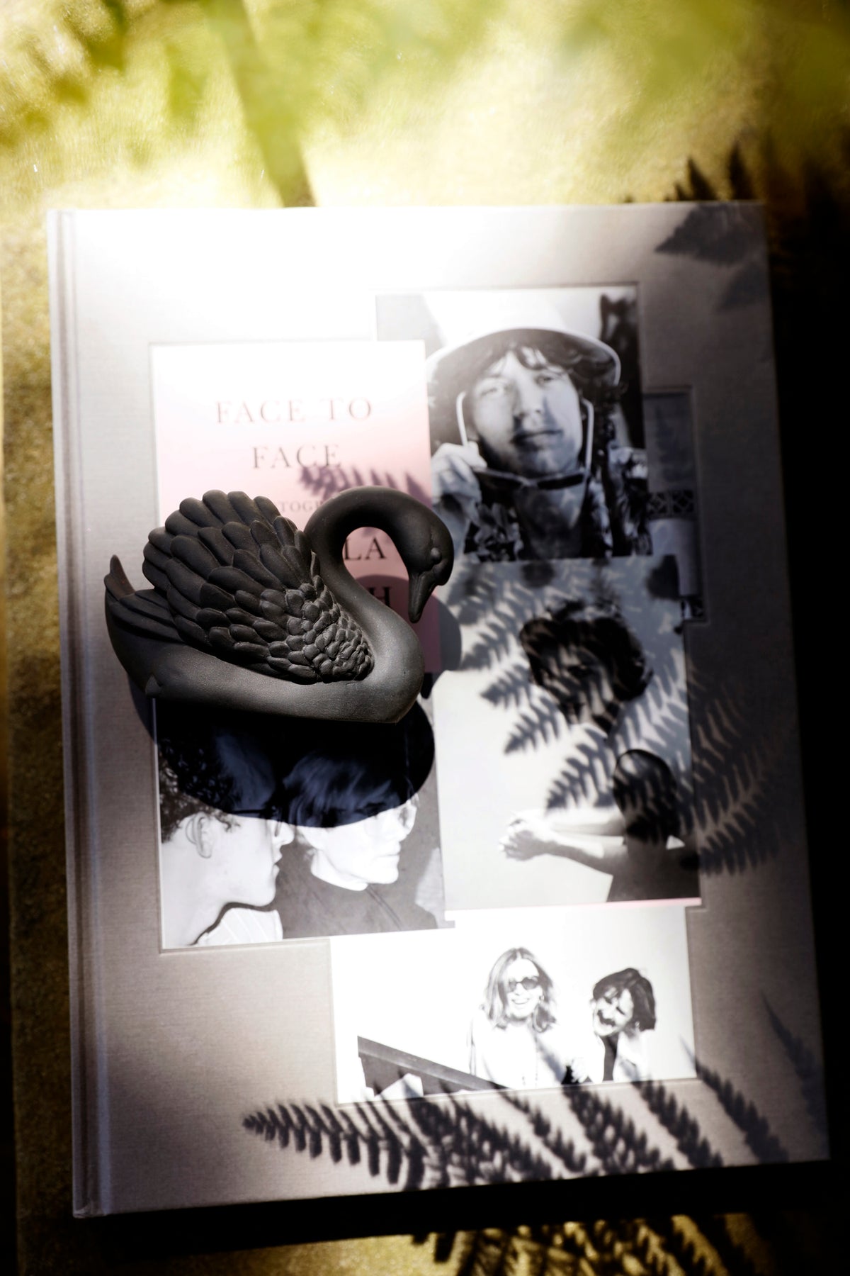 Nymphenburg Black Swan