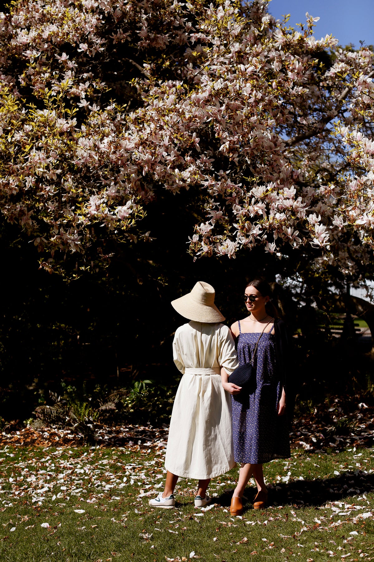 F&amp;H Women&#39;s Fine Cashmere Cardigan Midnight