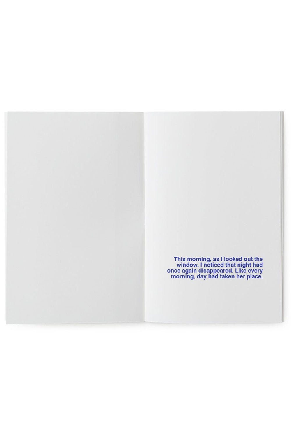 A Book To Illustrate: What Happens To Night During The Day?