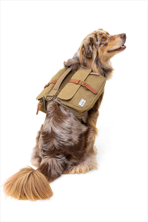 Ranger Dog Backpack