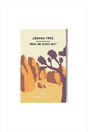 Joshua Tree National Park Guide