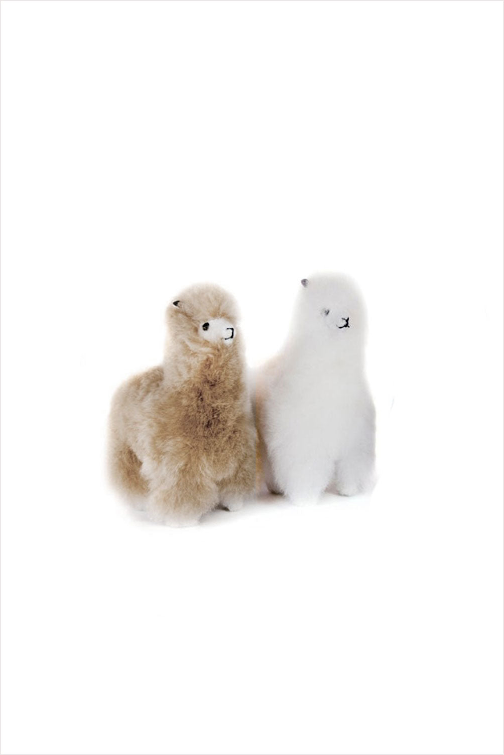 Bella Alpaca Mini Plush