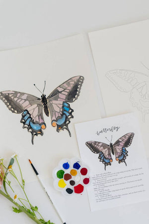 Butterfly Bird Watercolor Kit