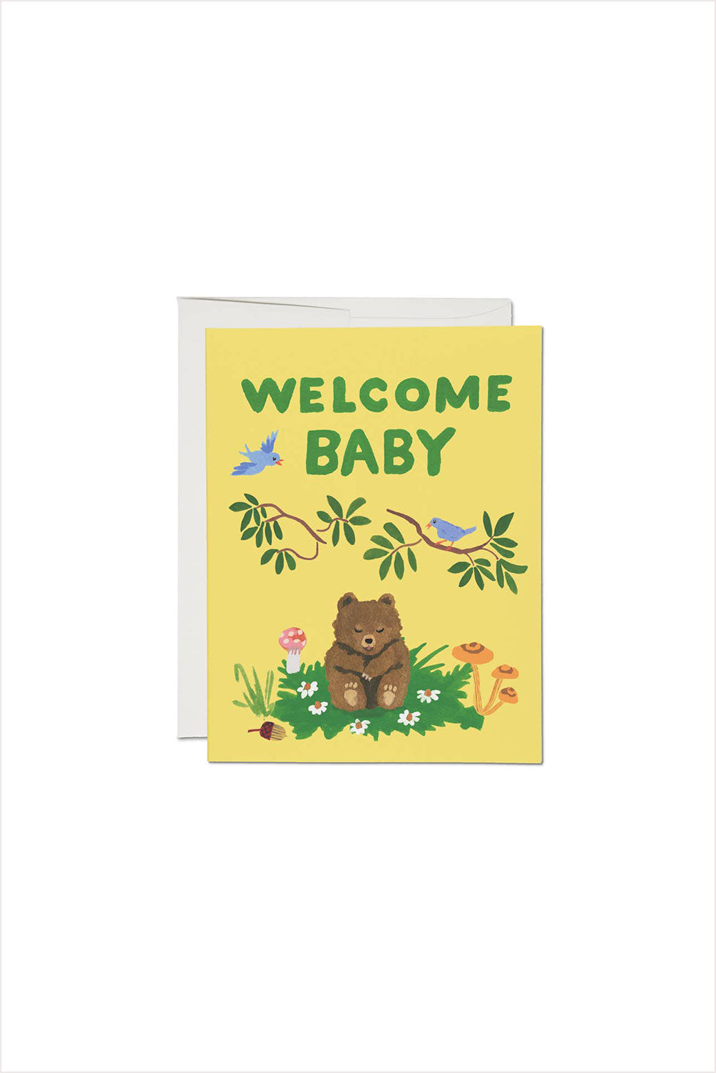 Baby Cub Greeting Card