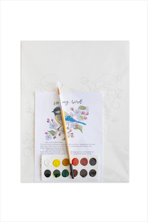 Spring Bird Watercolor Kit