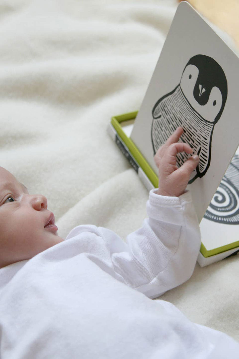 Baby Animal Art Cards