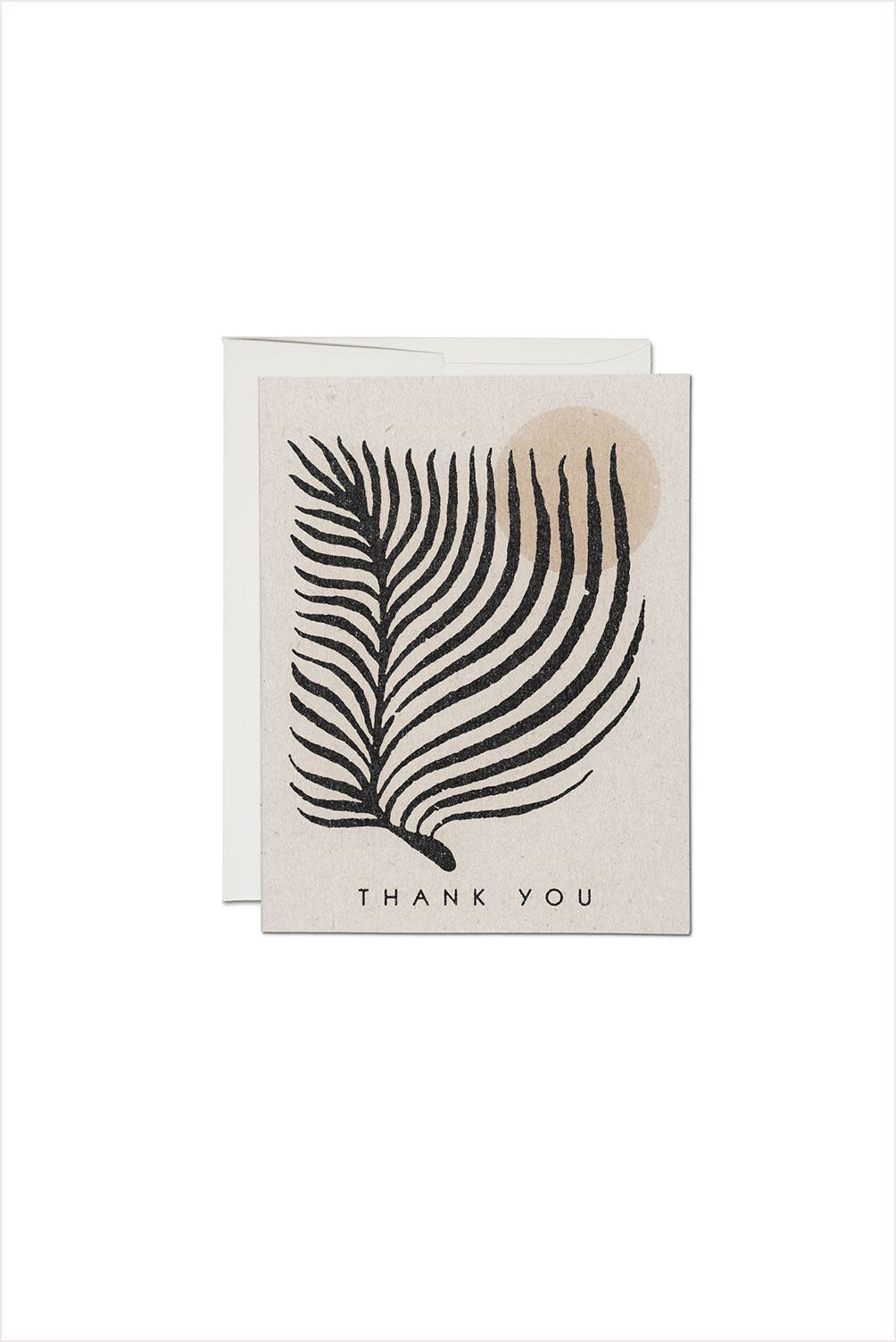 Palm Sun Thank You Card