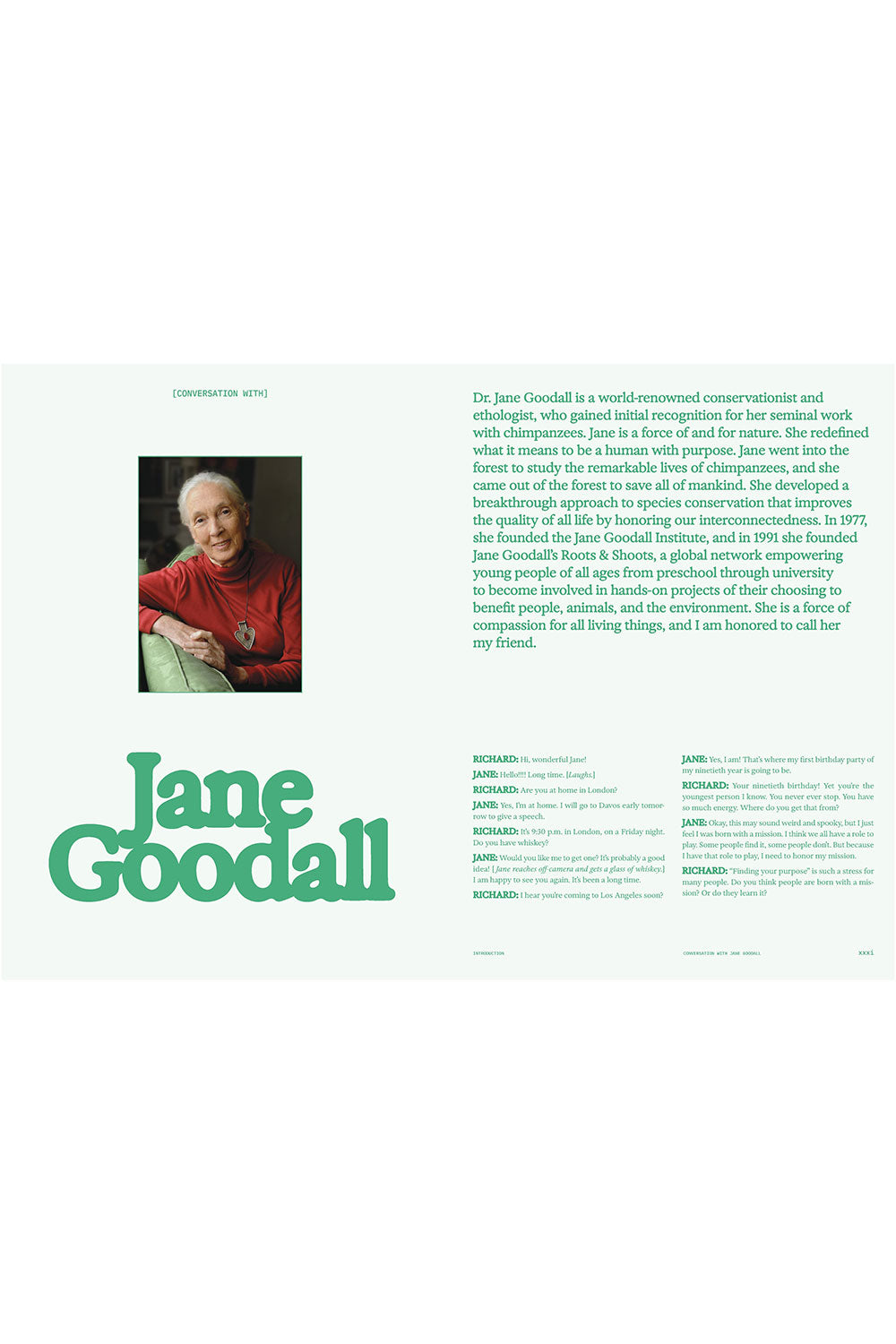 Flamingo Estate: The Guide to Becoming Alive