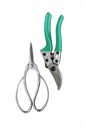 Garden Gift Box Pruners and Snips