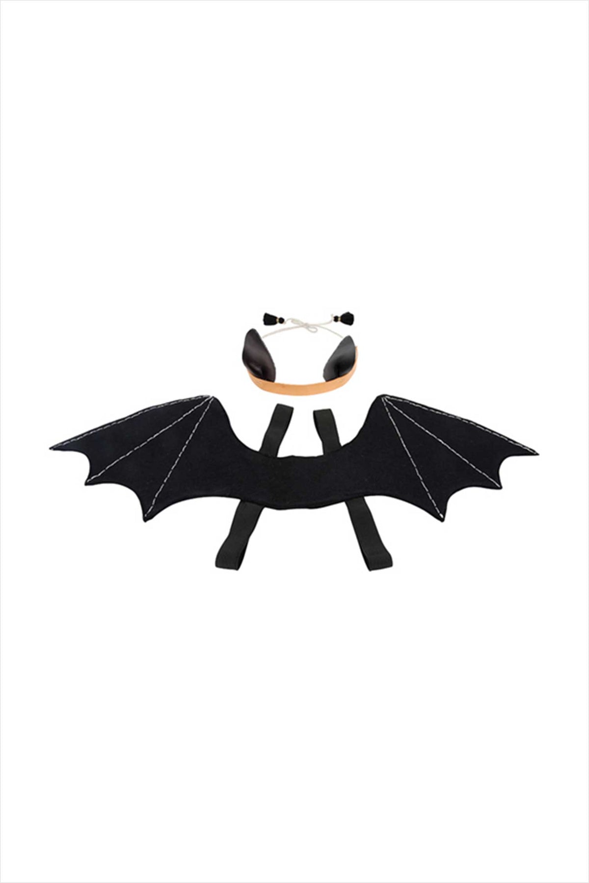 Spooky Bat Dress Up Kit
