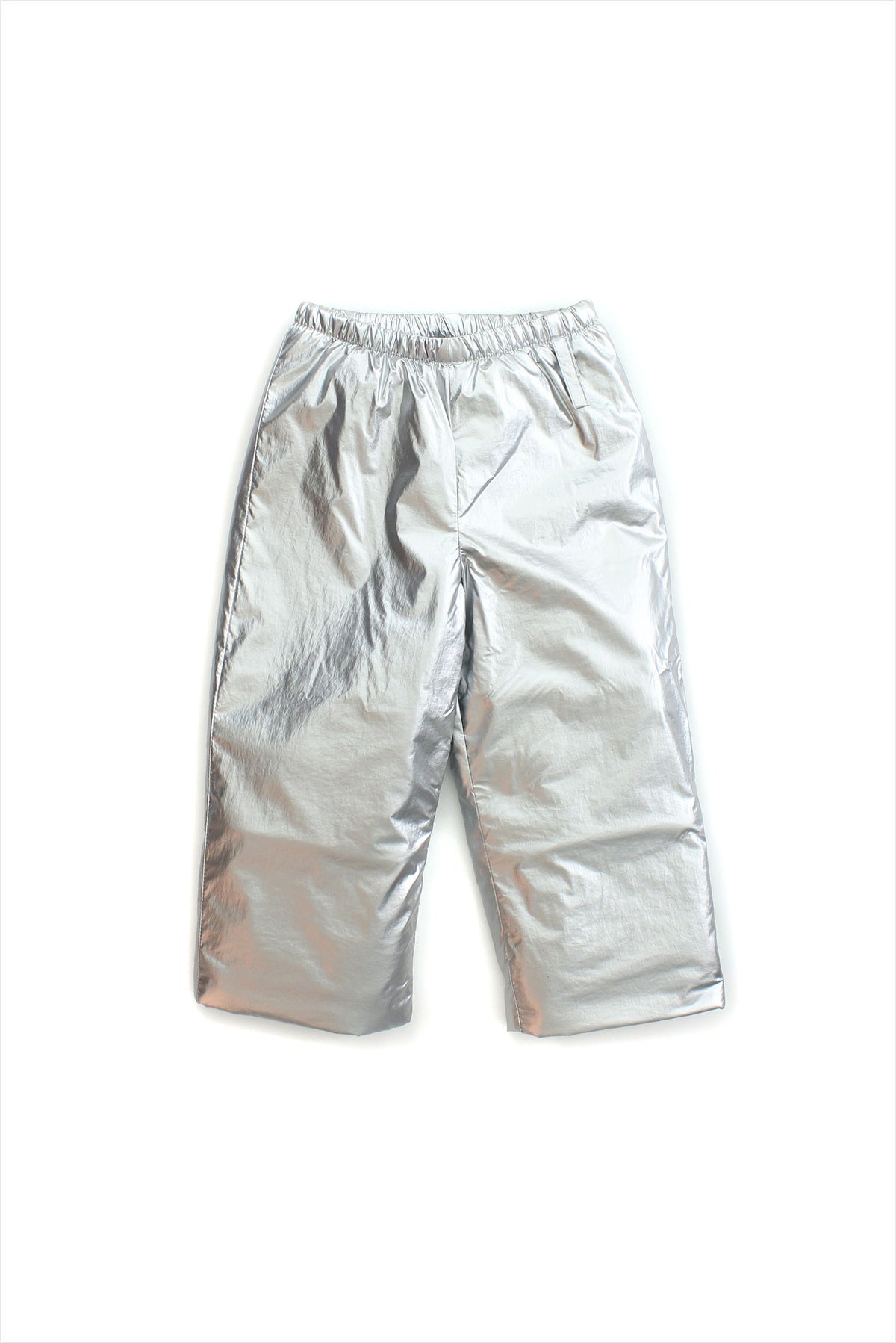 Alpine Parka Pant Silver