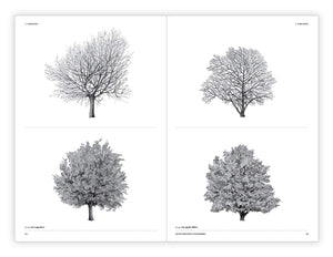 The Architecture Of Trees Book