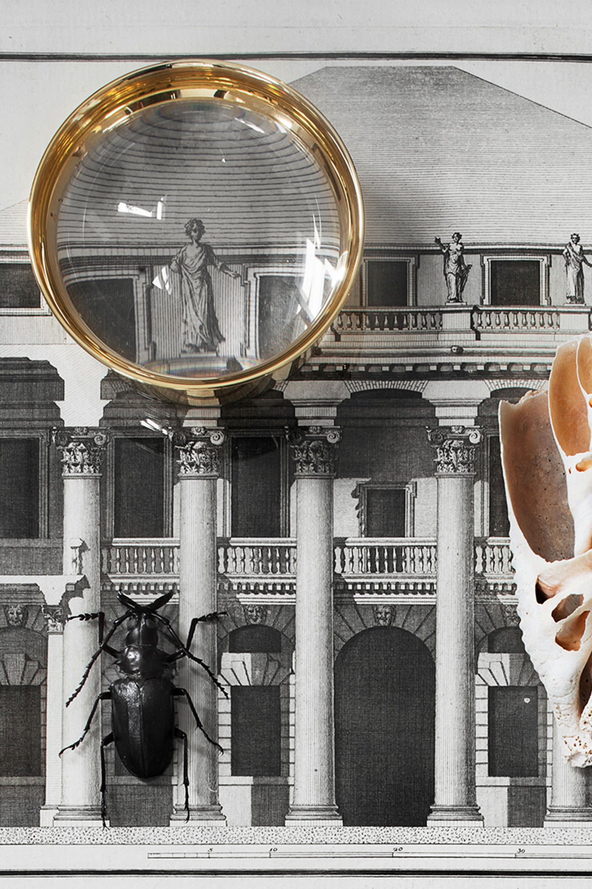 Pallina Magnifying Glass