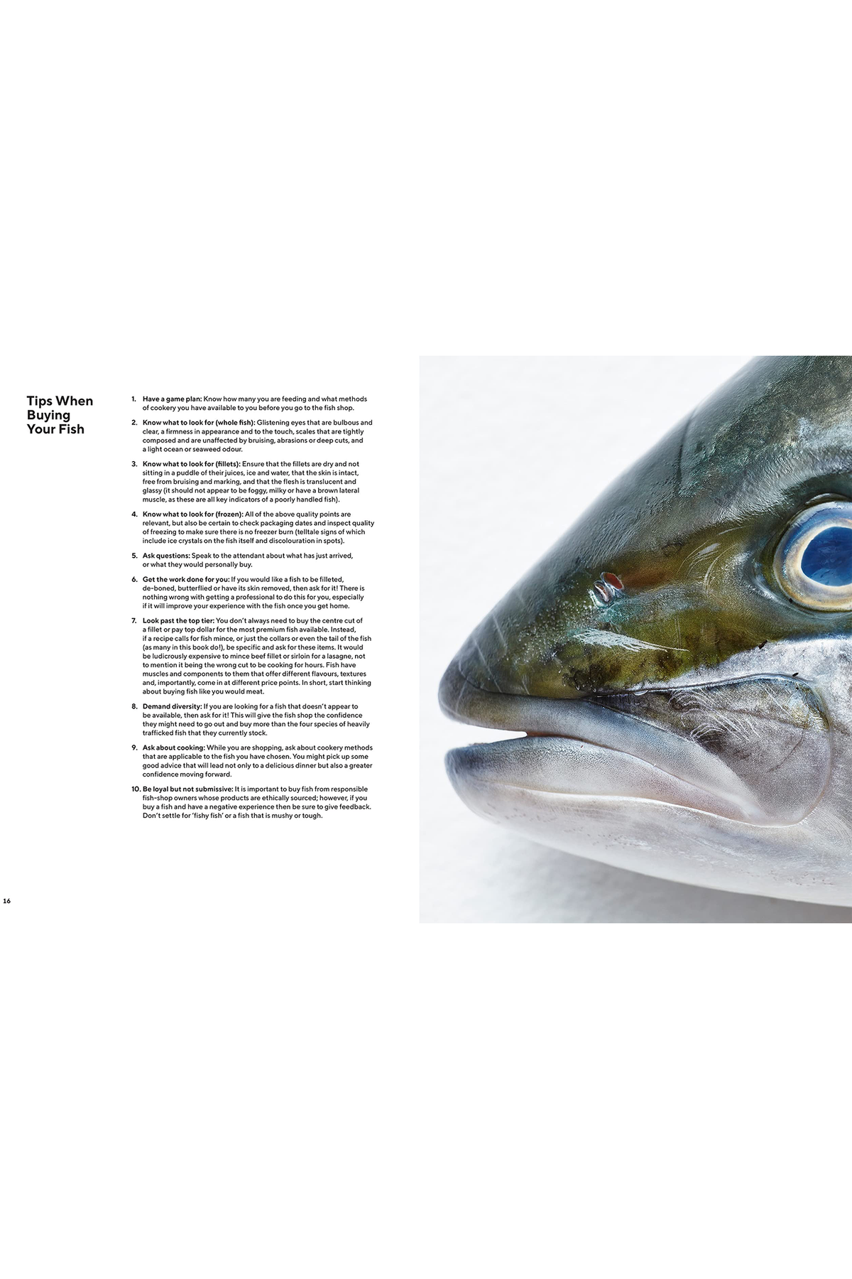 Take One Fish: The New School of Scale-to-Tail Cooking and Eating