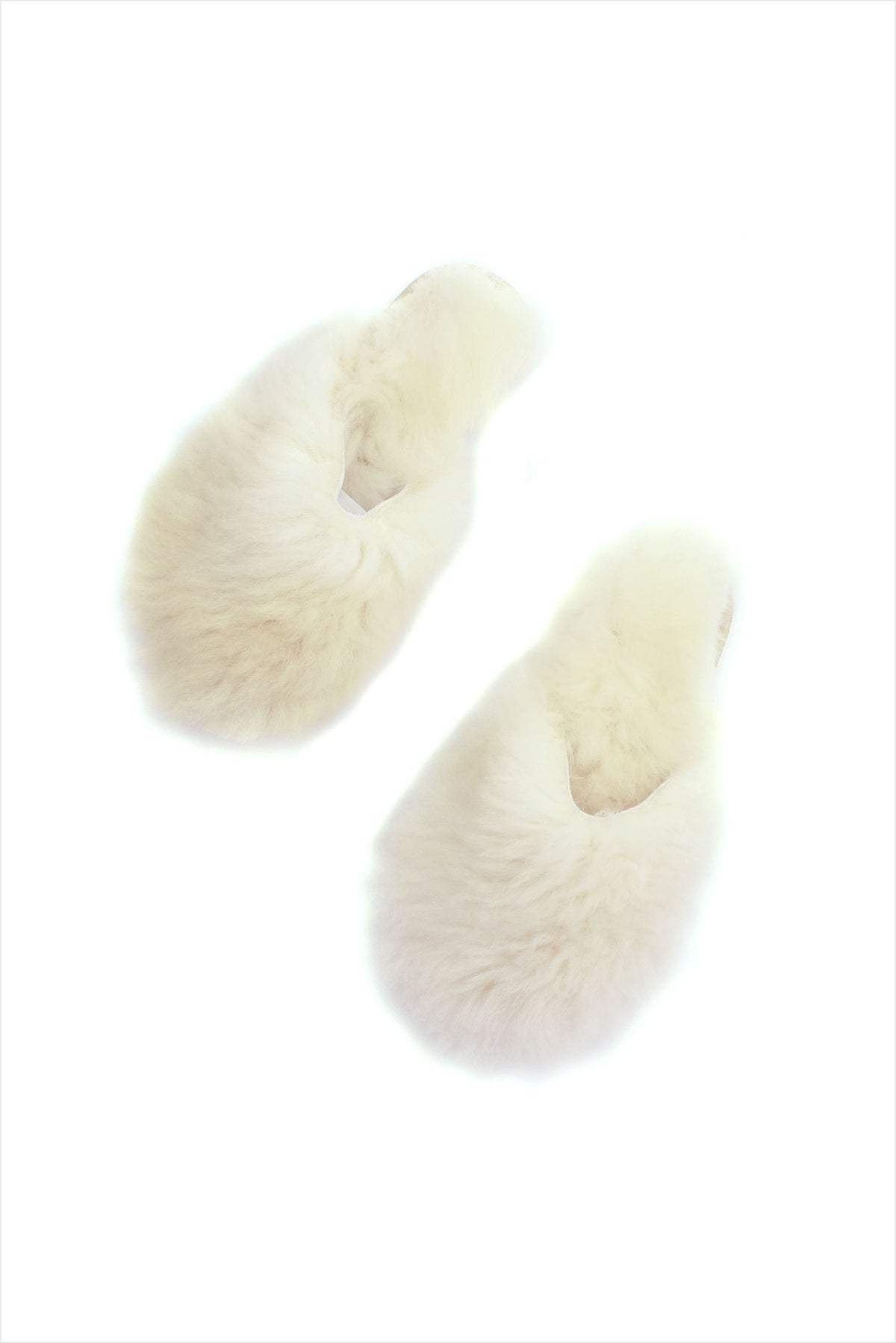 Lamb Slipper