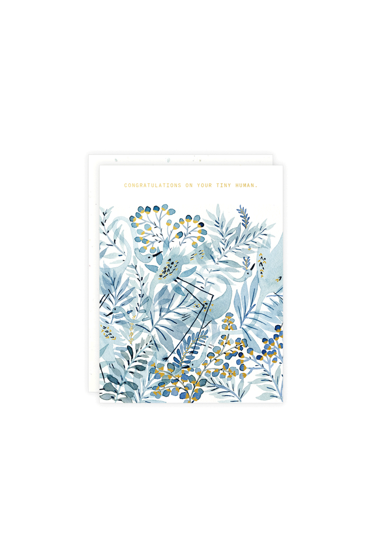 Blue Birds Baby Card