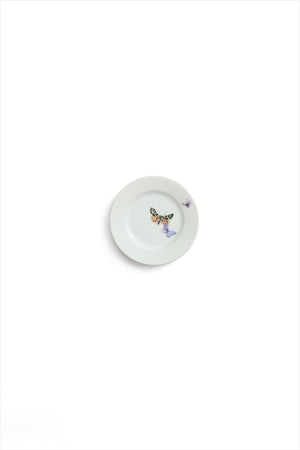Nymphenburg Butterfly Plates Large and Small
