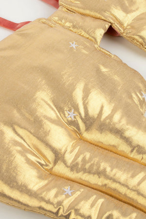 Gold Quilted Angel Wings Costume