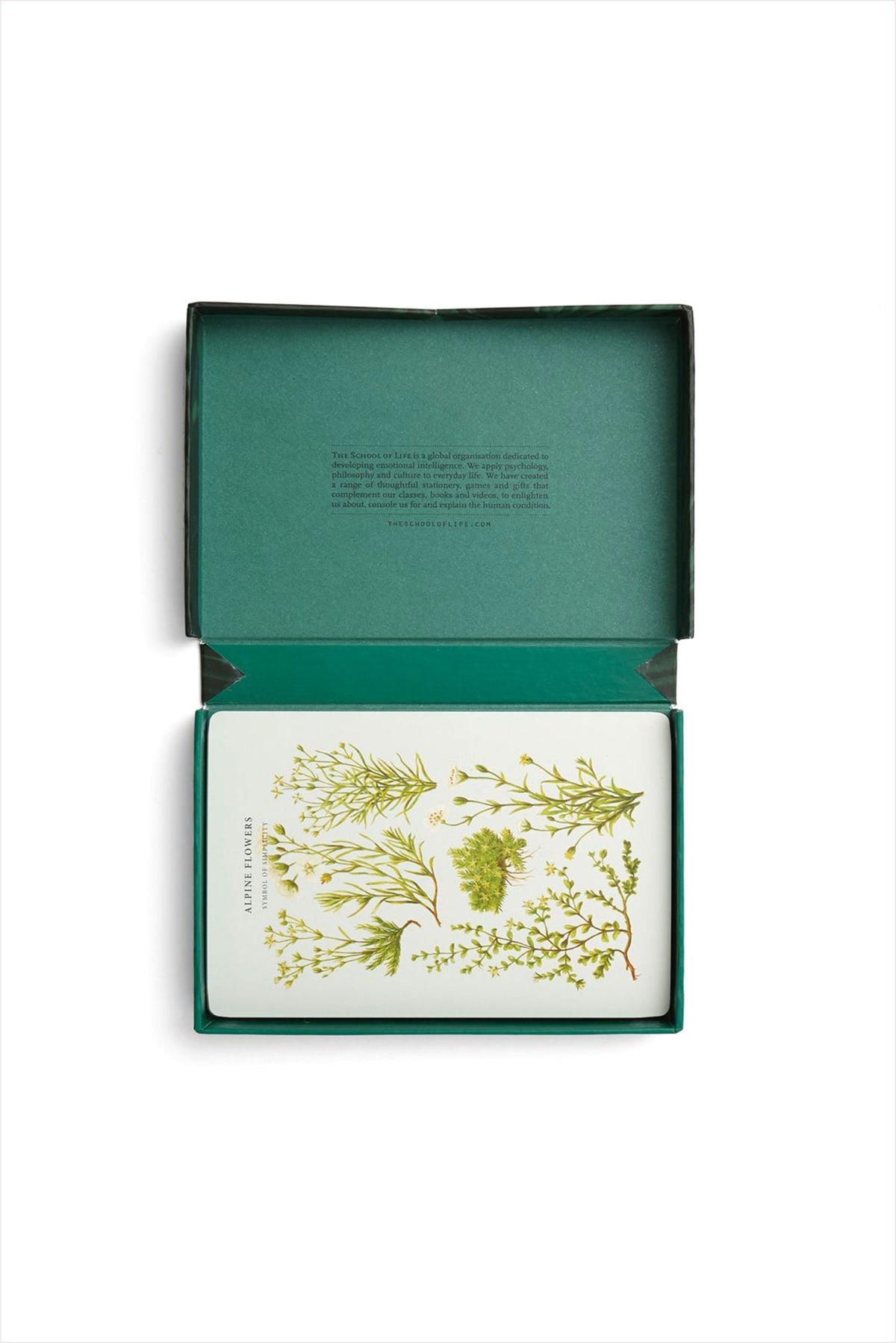 Wonder Of Nature Card Set